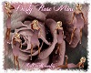 Dusty Rose Mini