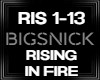 BigSnick Rising in Fire