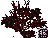4K Red Tree Anim Pose