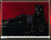 Panther On A Piano Pic