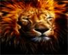MKL*Lion of Fire