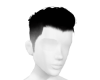 Scales Hair