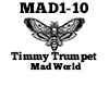 Timmy Trumpet Mad World