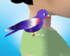 [Nal] Purple Parakeet