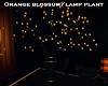 O/Blossom Plantl/Lamp