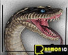 Anaconda Pet Snake F