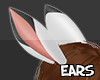 S| Aze Ears