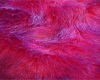pink  chest fur