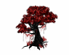 Red Vampire tree