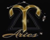 Aries T Shirt