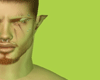 green photo