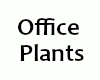 00 Office Plants