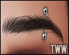 EyeBrow A2 Piercing