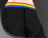 .LGBT. pants