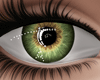 Green eyes
