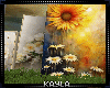 Picture Frame Canvas 