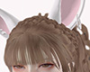 ✧ animated bunny ears