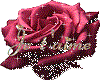 rose je t'aime