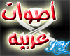 [KY] Arabic box voice 1