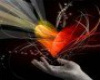 Gift Of Love