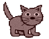 cat1