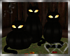 3 Black Cat Pumpkins