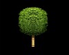 BS Modern Green Tree