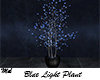 Blue Light Plant