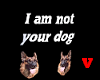 i am not your dog v