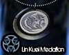 Lin Kuei Medallion