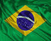 Brazil wing