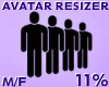 Avatar Resizer 11%