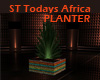 ST Todays Africa PLANTER