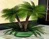 lp69-palmier