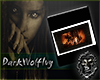 cadre wolf