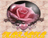 Ropa Interior Rosa