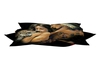 coussin anime indien