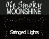 Moonshine Stringed Light