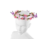 Pink Butterfly Crown
