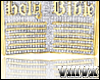 10K Holy Bible Chain