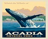 VP - Acadia, ME 2