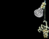 Z* Goth Skull Bundle B.