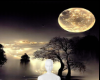 Moon Background