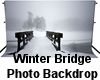 (MR) Wint Bridge Backgd