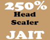 250% Head Scaler
