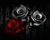 *k* roses girls Art