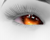 Dolly unisex |amber