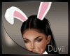 |D| Sexi Bunny (RL)
