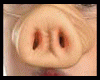 Pig Nose Fantasy