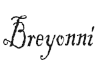 Custom Breyonni Decal